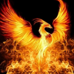 FirePhoenix